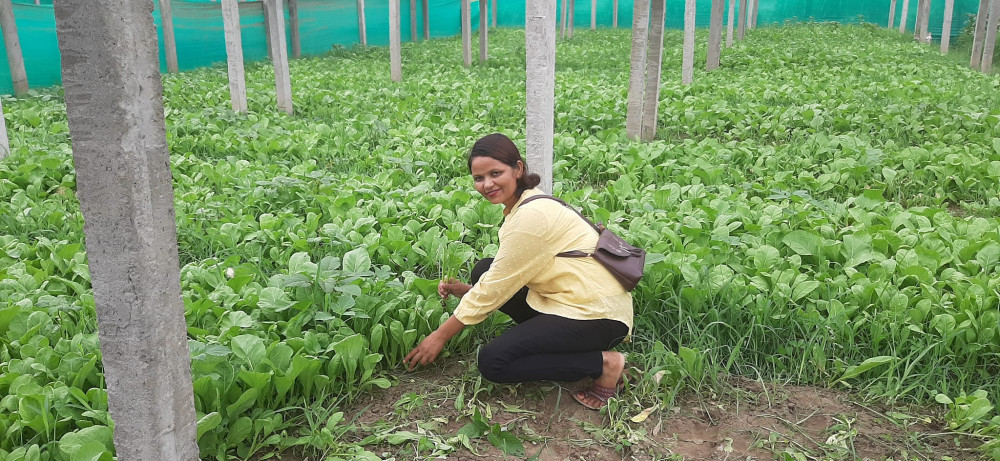 Sajilo Khoj