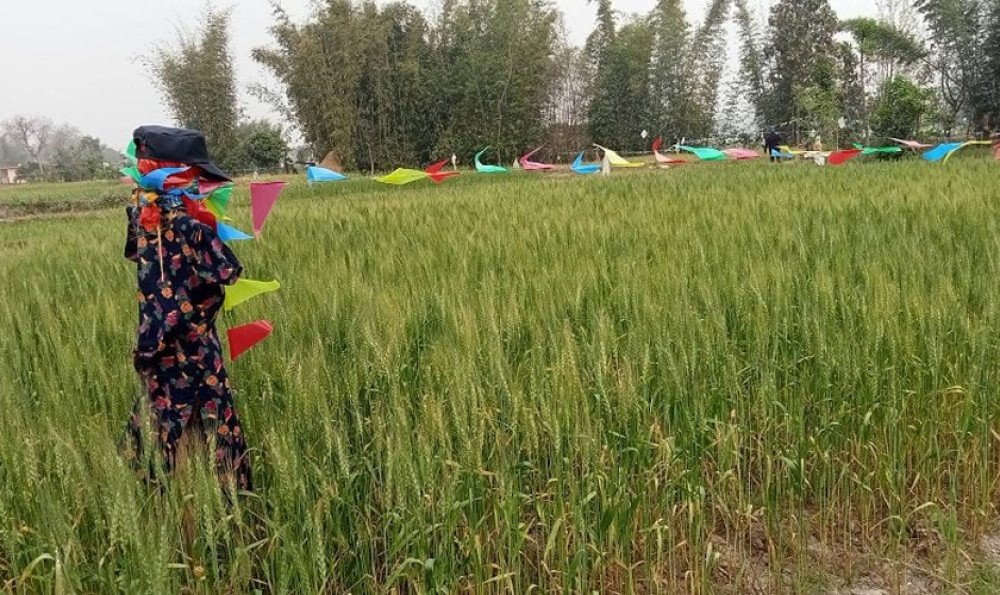 Sajilo Khoj