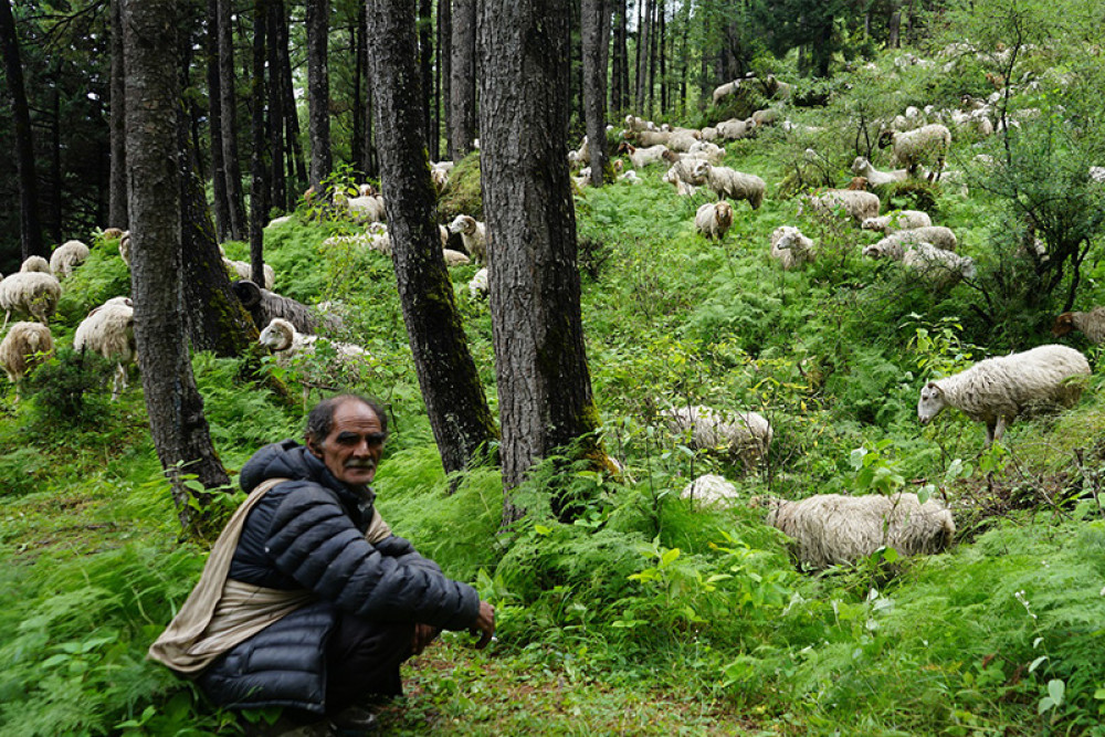 Sajilo Khoj