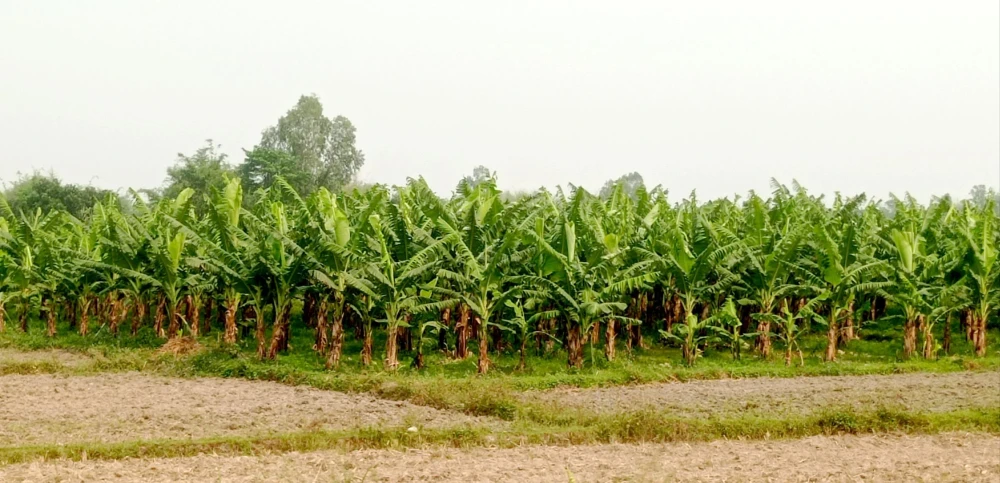 Sajilo Khoj