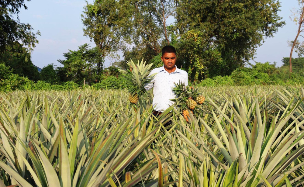 Sajilo Khoj