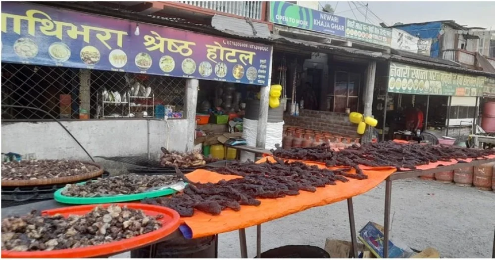 Sajilo Khoj
