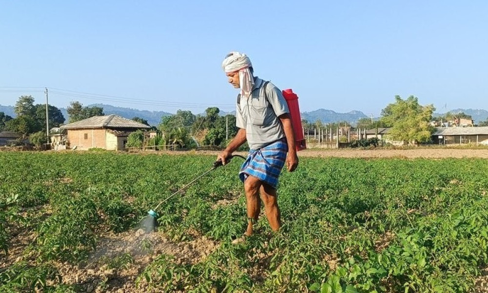 Sajilo Khoj