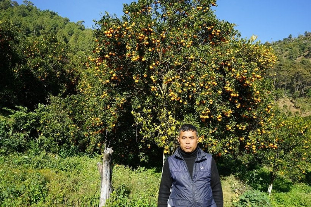 Sajilo Khoj