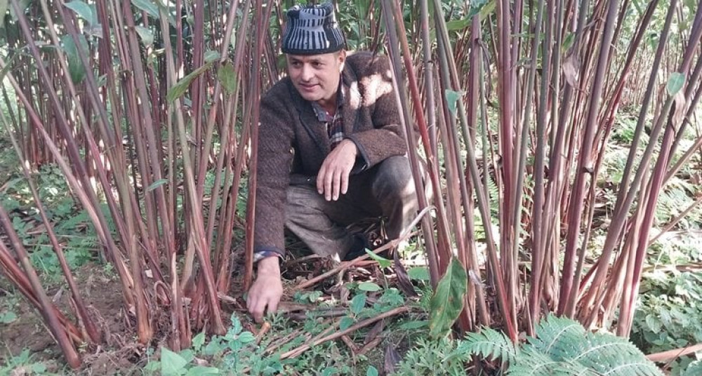 Sajilo Khoj