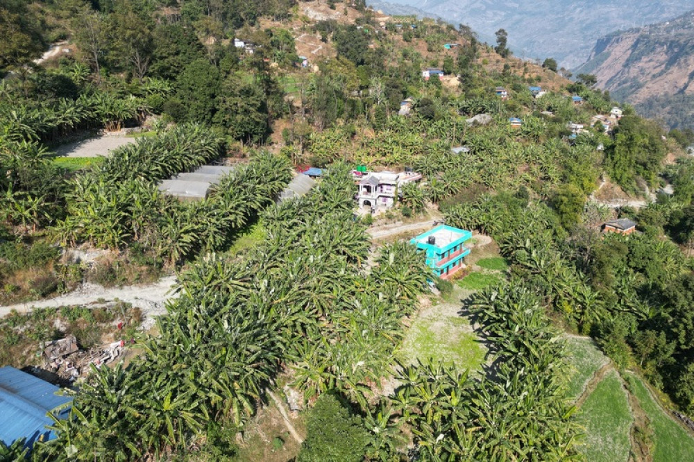 Sajilo Khoj