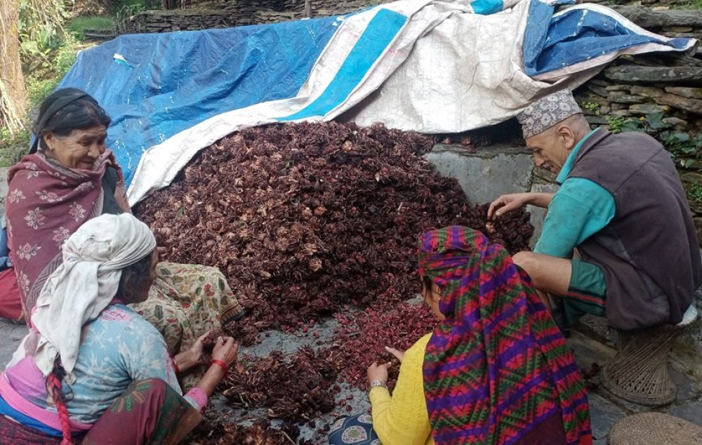 Sajilo Khoj