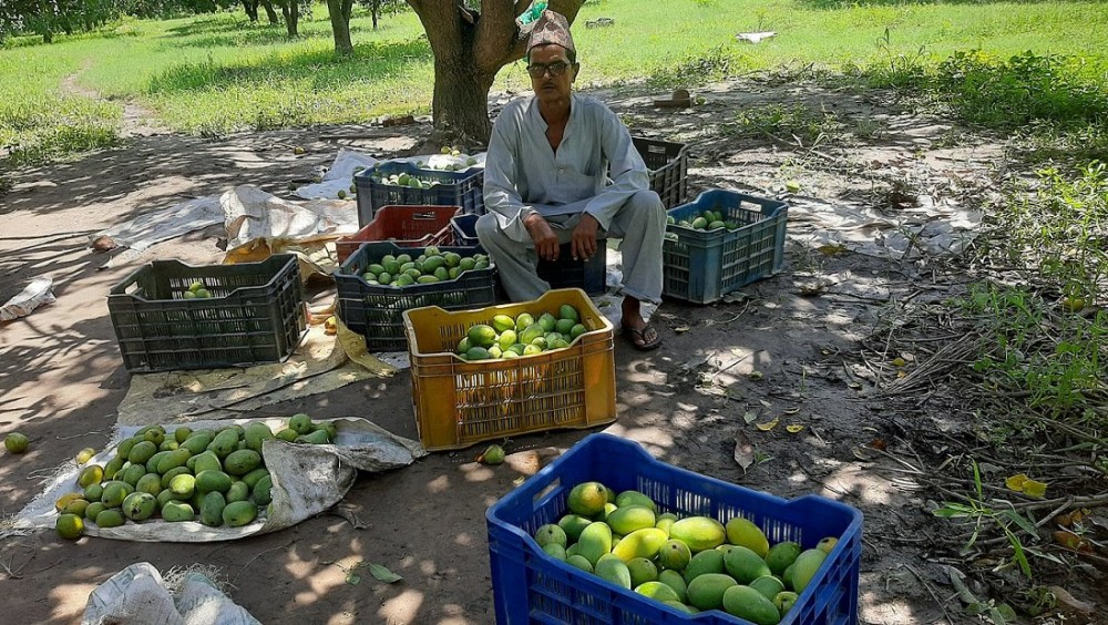 Sajilo Khoj