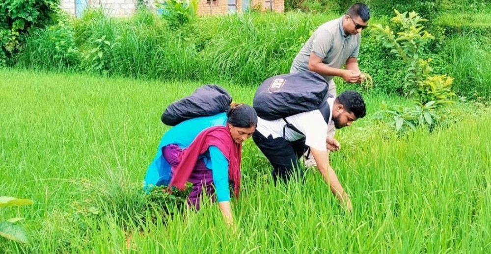 Sajilo Khoj