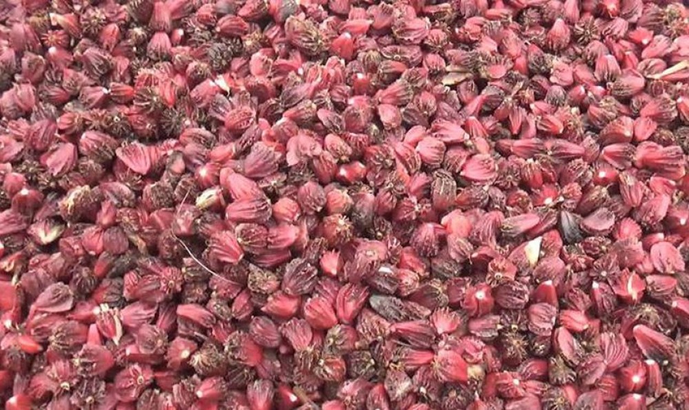 Sajilo Khoj